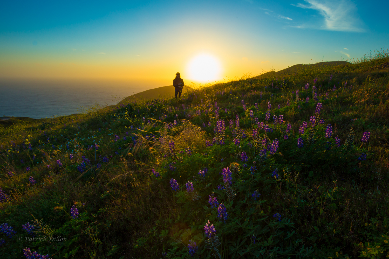 malibu sunset