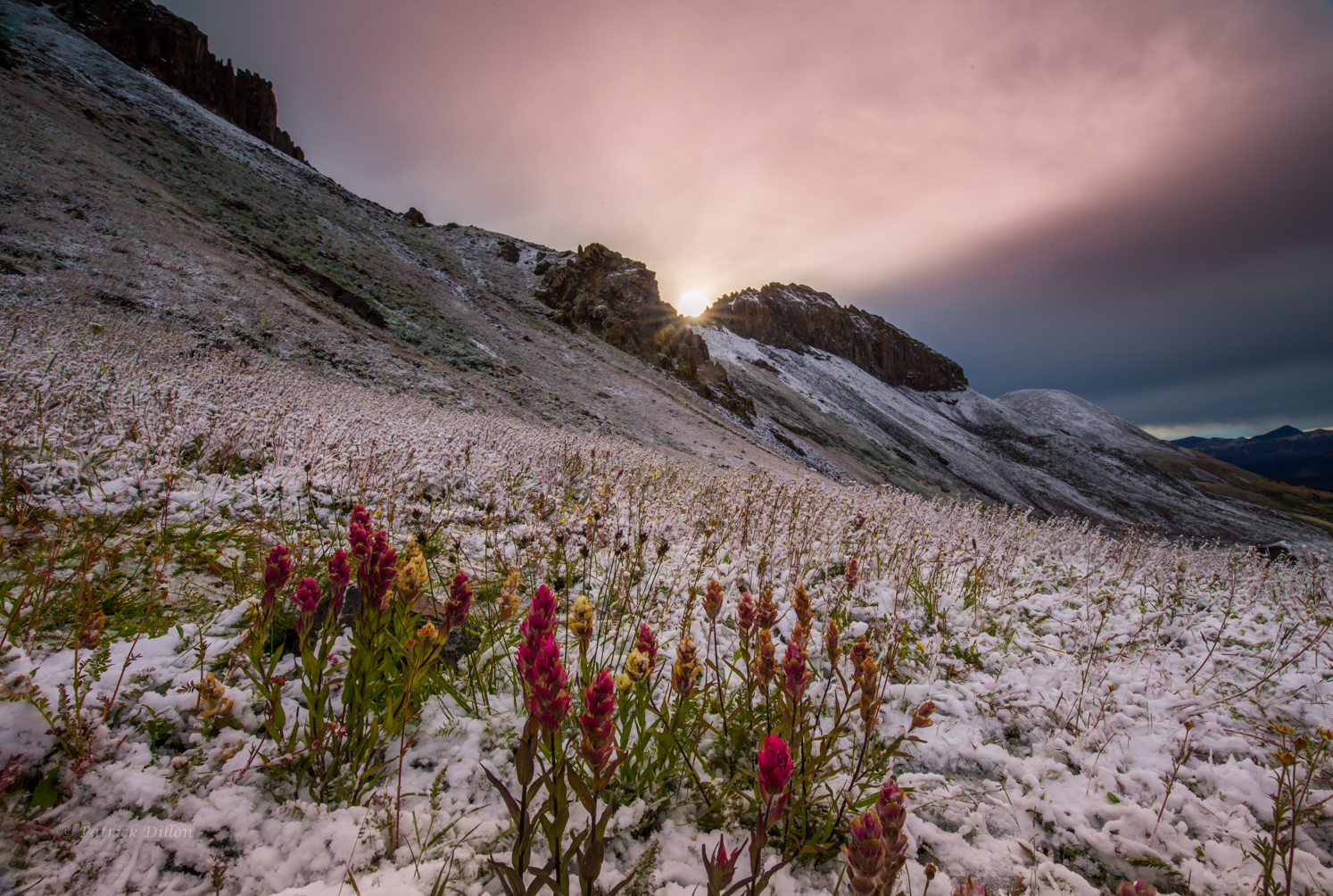 paintbrush next morning sunrise after the snow -3725