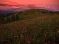 Engineer_sunset__paintbrush_pd-7404
