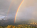 IMG_7855-montana-mine-rainbow-aspen-large2