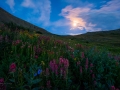 Moonlight Special - San Juan Mountains -3403