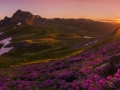 San Juan Summer Fuchsia Sunset
