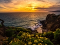 malibu coast sunset