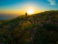 malibu sunset
