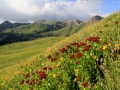 resized-for-website-lightroom-12-1
