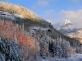 Engineer fall colors with snow image 2821