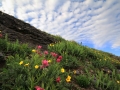 resized-for-website-lightroom-21