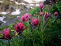 resized-for-website-lightroom-26