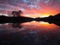 Animas river sunset image 2820