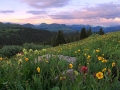 resized-for-website-lightroom-29