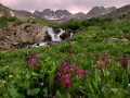 resized-for-website-lightroom-34