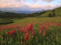 resized-for-website-lightroom-37