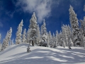After the storm san juan mountains snow image 9869