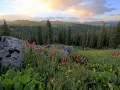 resized-for-website-lightroom-5