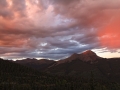 resized-for-website-lightroom-56