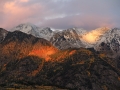 Aspen glow west needles sunset image 1755