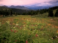 resized-for-website-lightroom-7
