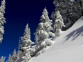 Fresh snow san juan mountains image 3875